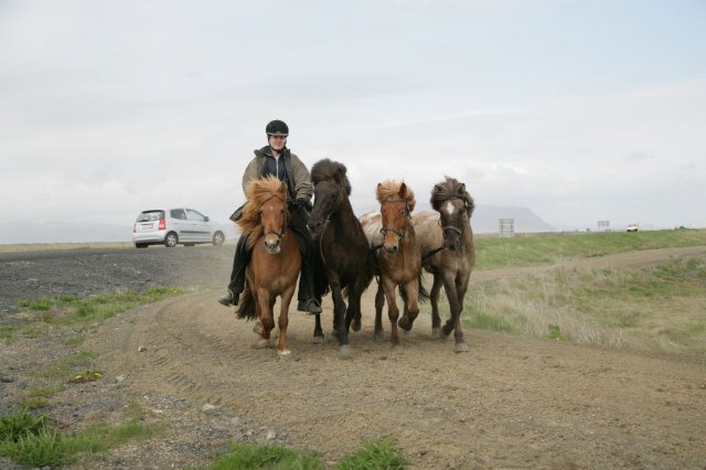 Baðtúr 2008