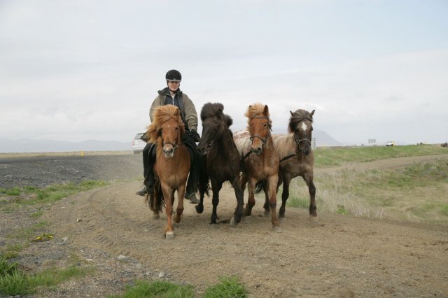 Baðtúr 2008