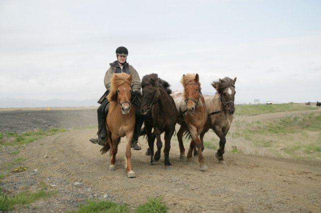 Baðtúr 2008