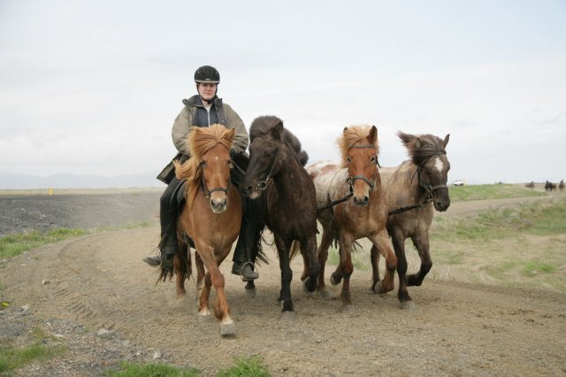 Baðtúr 2008