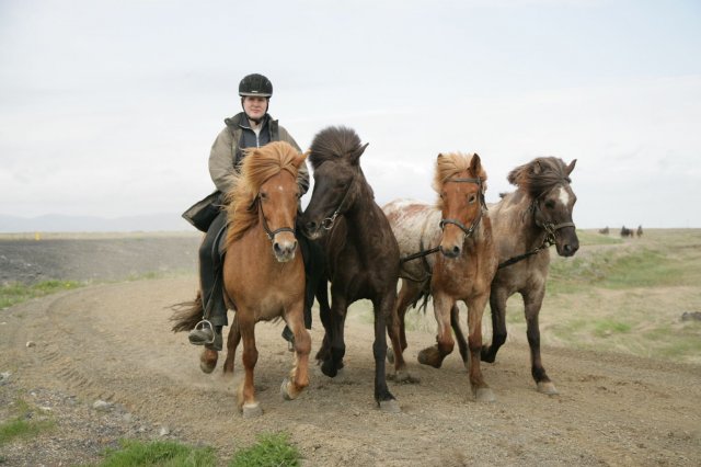 Baðtúr 2008