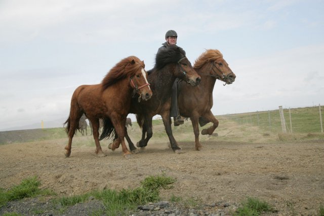 Baðtúr 2008