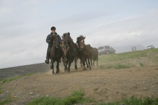 Baðtúr 2008