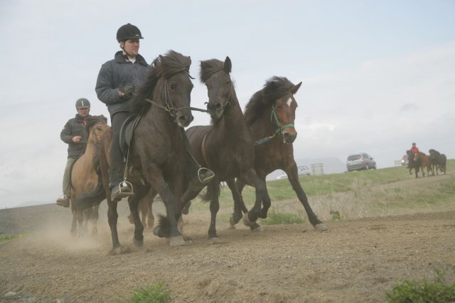 Baðtúr 2008