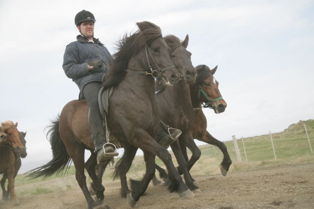 Baðtúr 2008