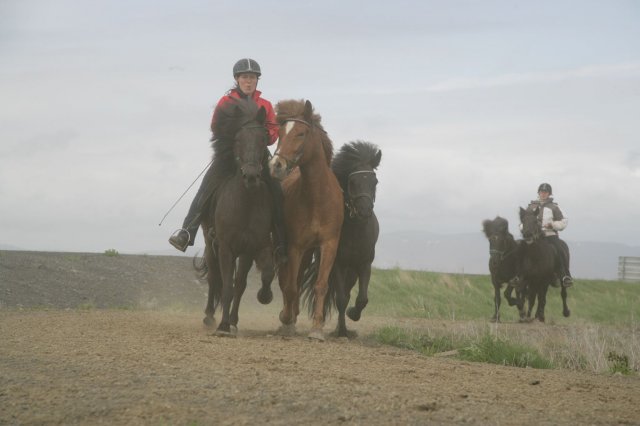 Baðtúr 2008