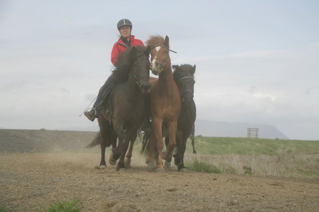 Baðtúr 2008