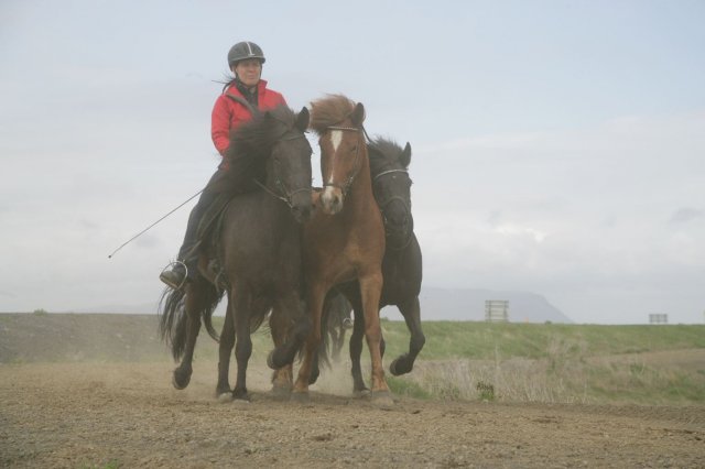 Baðtúr 2008