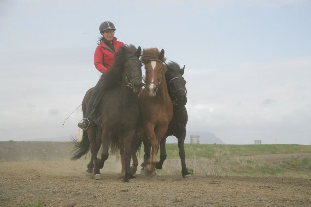 Baðtúr 2008