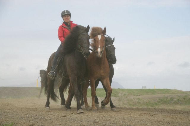 Baðtúr 2008