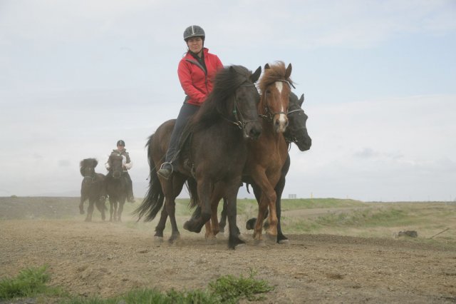 Baðtúr 2008