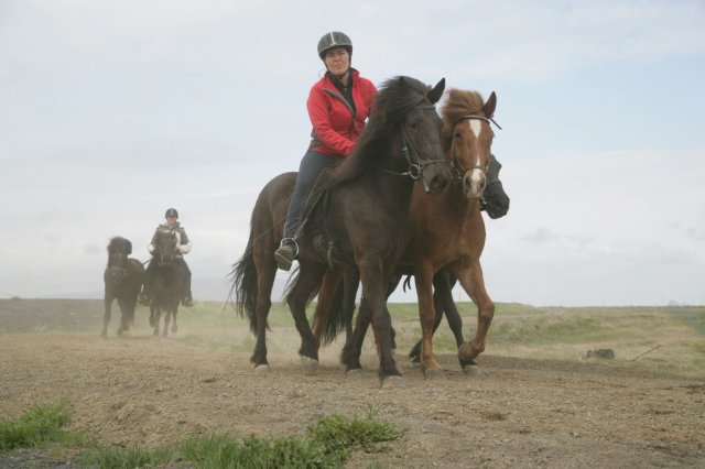 Baðtúr 2008