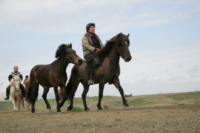 Baðtúr 2008