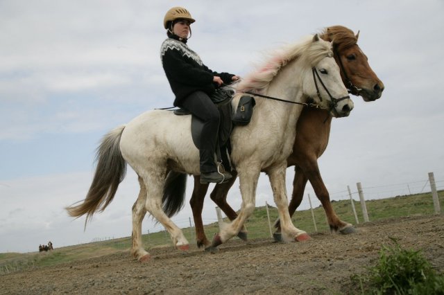 Baðtúr 2008