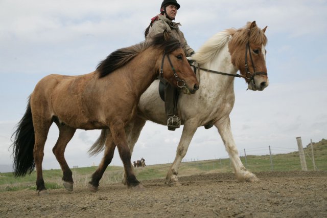 Baðtúr 2008