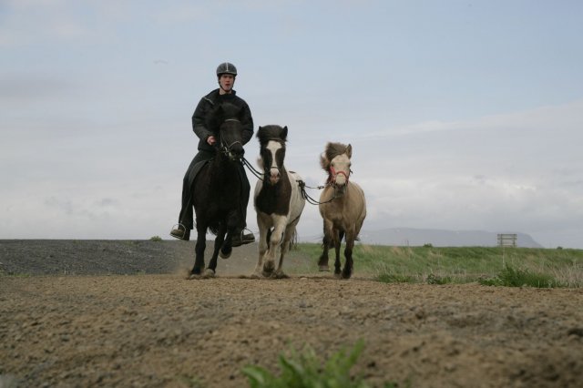 Baðtúr 2008