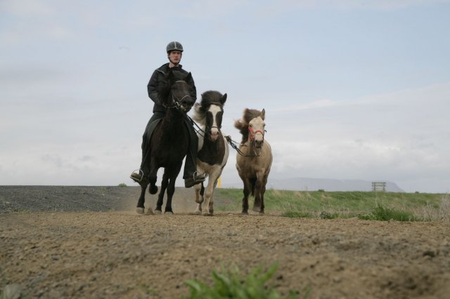 Baðtúr 2008