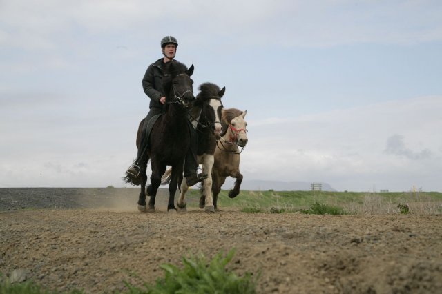 Baðtúr 2008