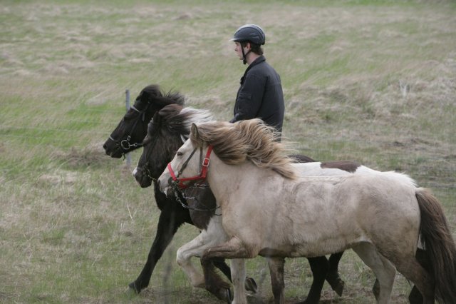 Baðtúr 2008