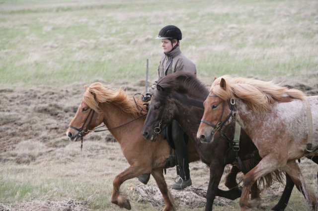 Baðtúr 2008