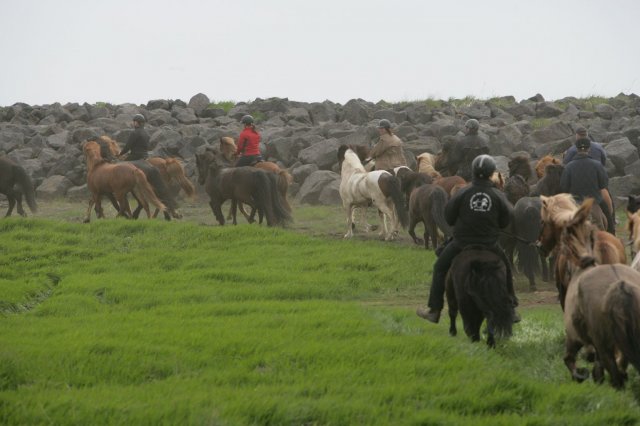 Baðtúr 2008