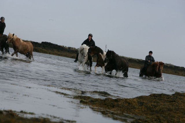 Baðtúr 2008