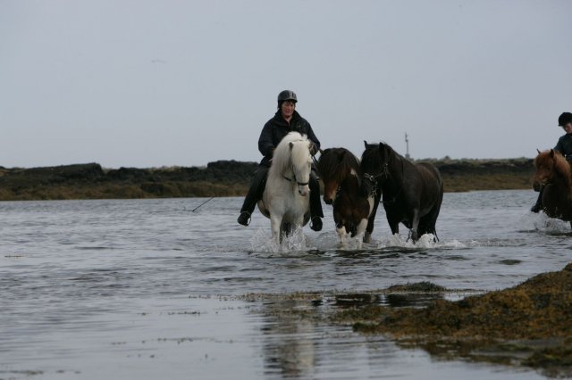 Baðtúr 2008