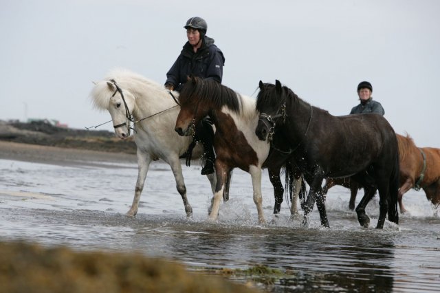 Baðtúr 2008