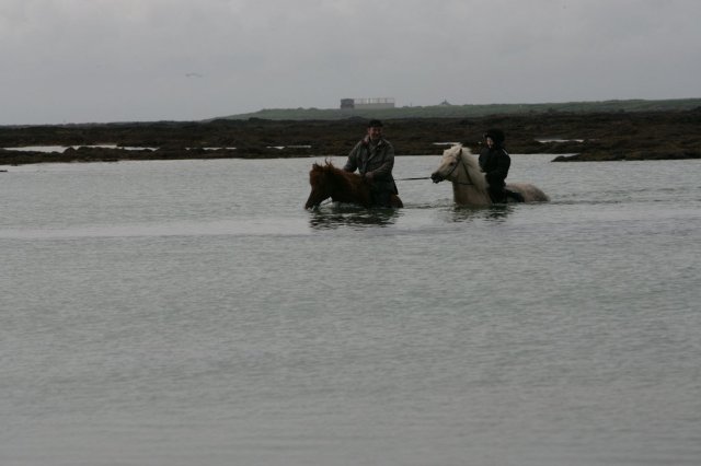 Baðtúr 2008