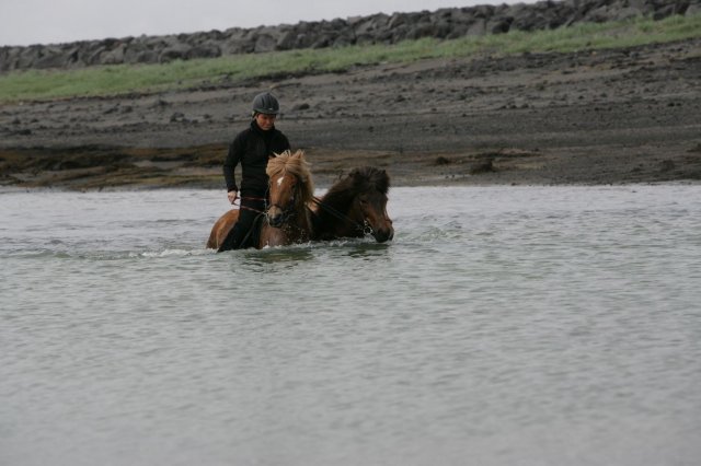 Baðtúr 2008