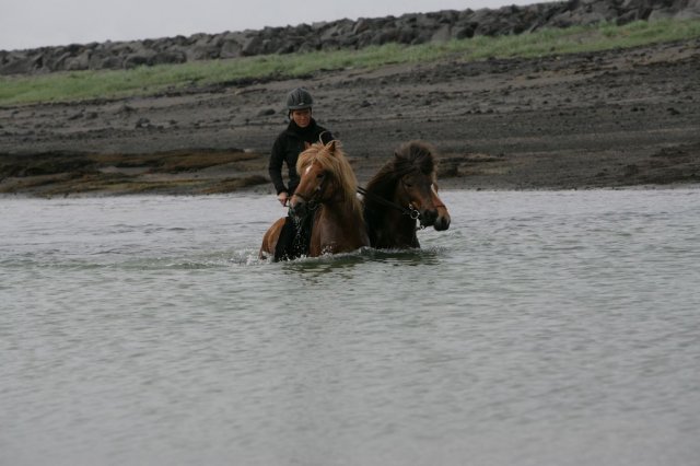 Baðtúr 2008