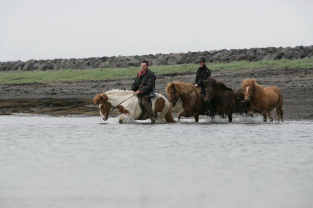 Baðtúr 2008