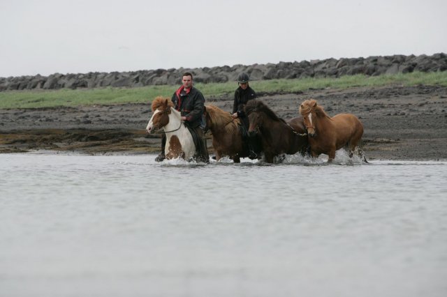 Baðtúr 2008