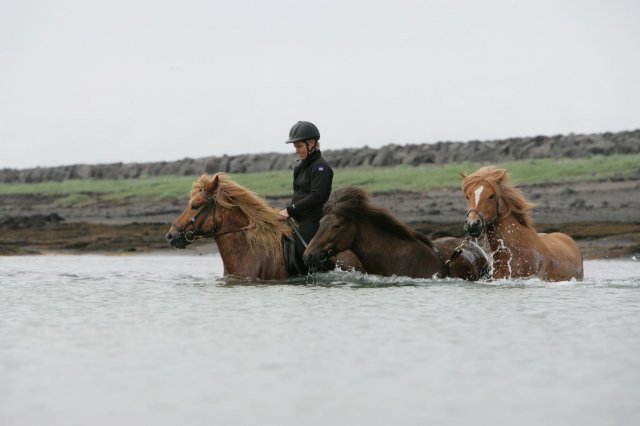 Baðtúr 2008