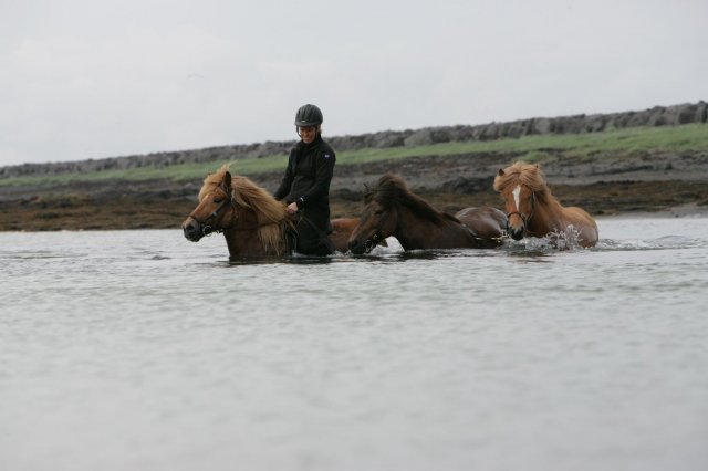 Baðtúr 2008