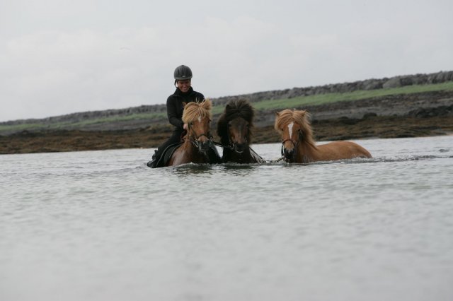 Baðtúr 2008