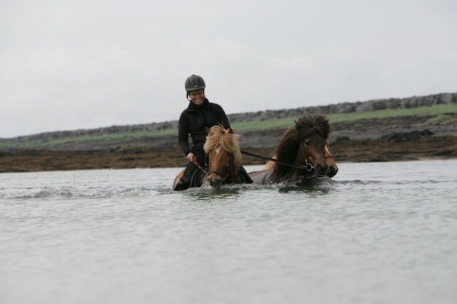 Baðtúr 2008