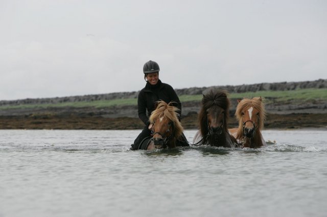 Baðtúr 2008