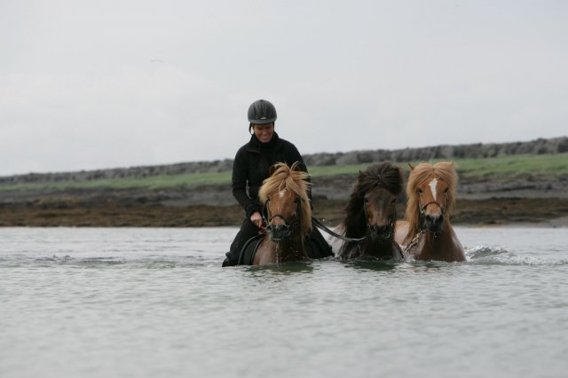 Baðtúr 2008