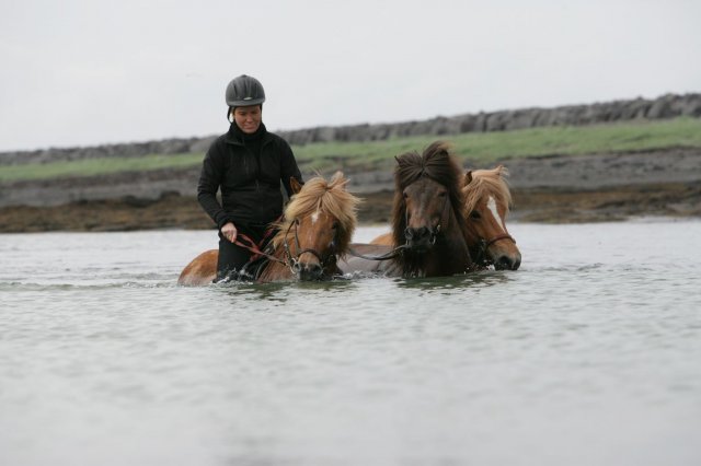 Baðtúr 2008