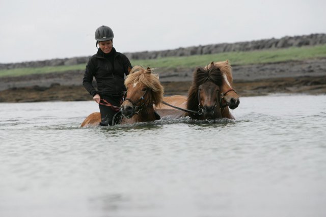 Baðtúr 2008