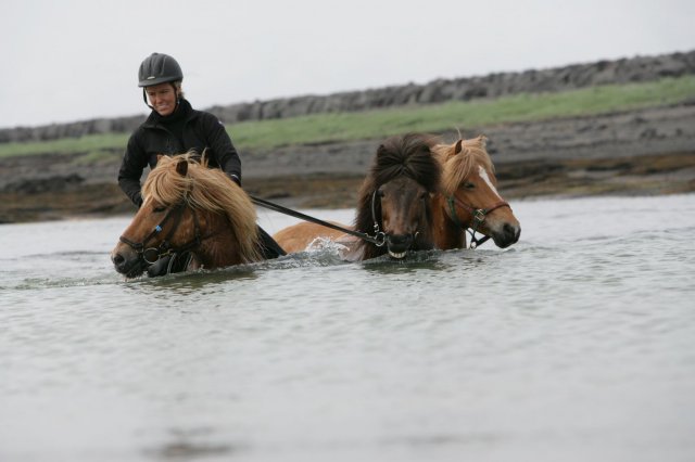 Baðtúr 2008