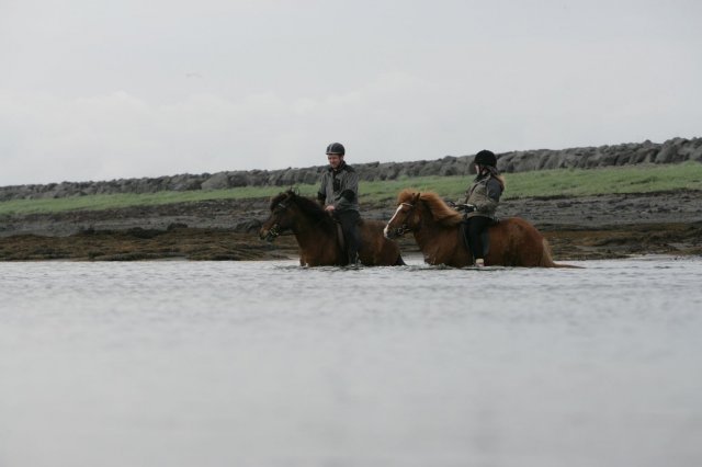 Baðtúr 2008