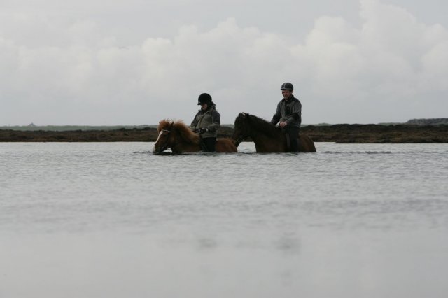 Baðtúr 2008