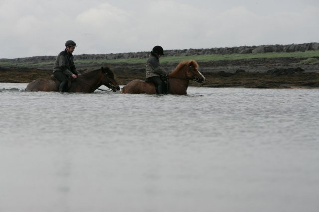 Baðtúr 2008