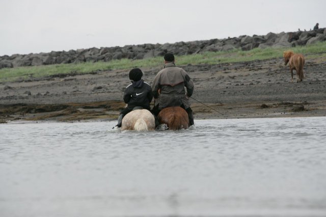 Baðtúr 2008