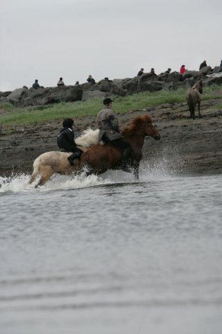 Baðtúr 2008