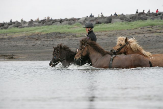 Baðtúr 2008