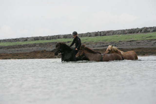 Baðtúr 2008