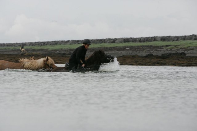 Baðtúr 2008